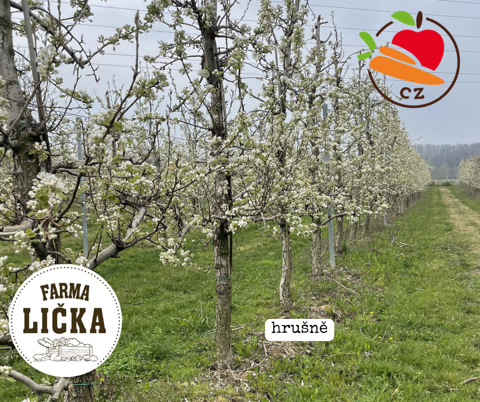 aktuality &bull; Prispevky 2026