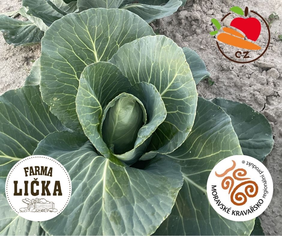 aktuality &bull; Prispevky 2026 7