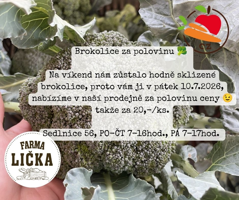 aktuality &bull; Prispevky 2026