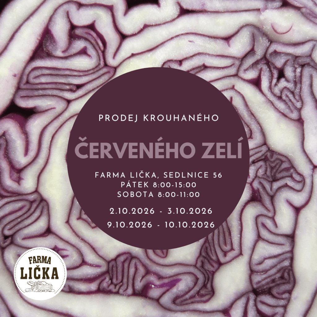 aktuality &bull; Cervene zeli prispevek